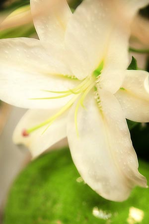 20130711006.jpg