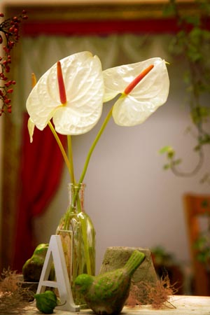 20131003007.jpg